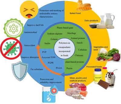 J. Future Foods | 食品中聚合物基包封材料的應用與進展