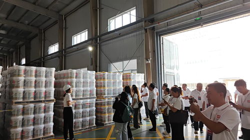 生態家園邁向高質量發展 市場細分與品質升級并行