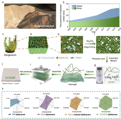 中科大俞書宏院士團隊AM:可食用、超強、熱穩定好的海藻基結構材料,可生物降解餐具新選擇!